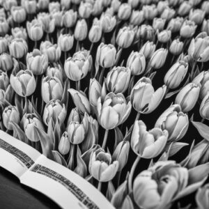 Ilustrasi perbandingan dua tumpukan uang koin. Satu tumpukan tinggi dengan tulisan